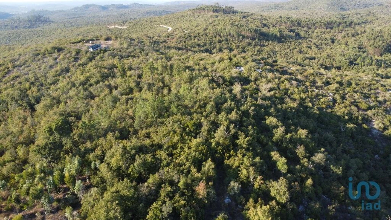 Terreno para Venda em Chãos Foto 9
