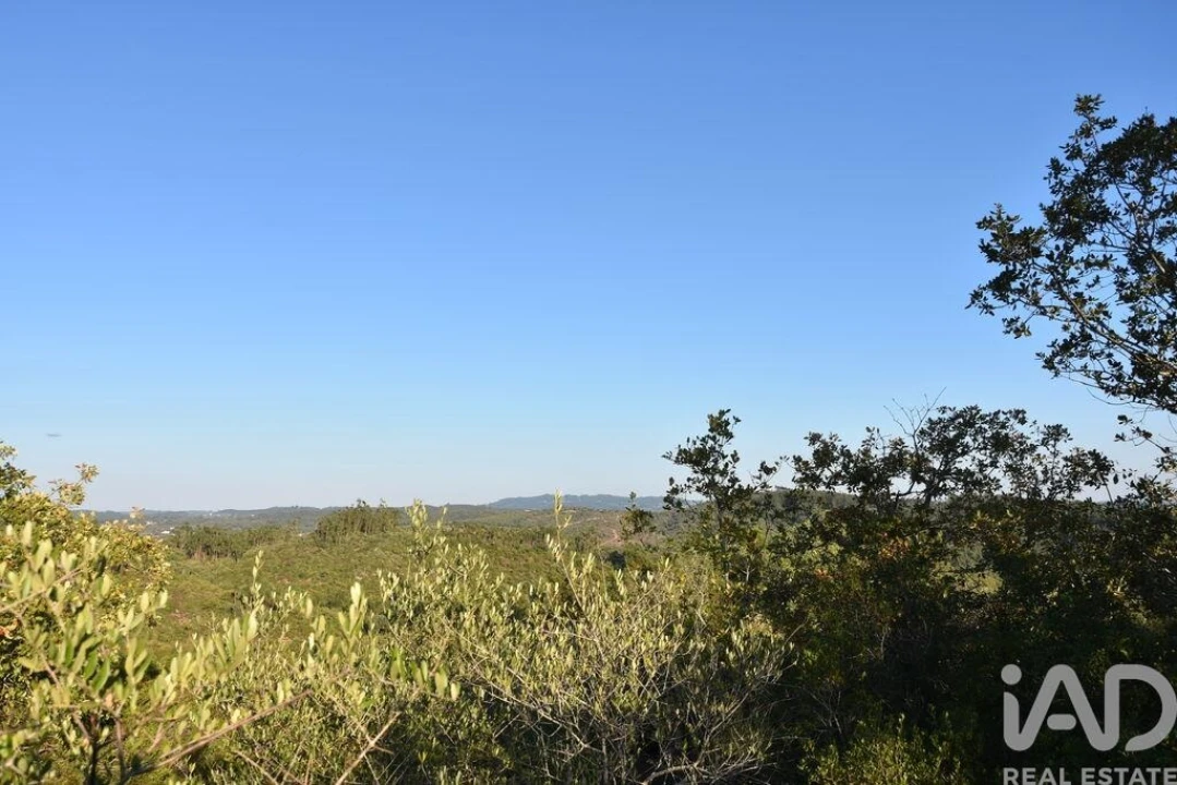 Terreno para Venda em Chãos Foto 19