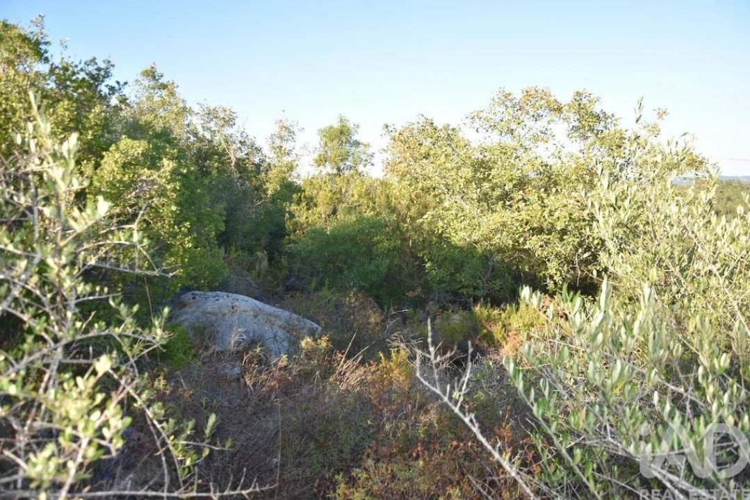 Terreno para Venda em Chãos Foto 20