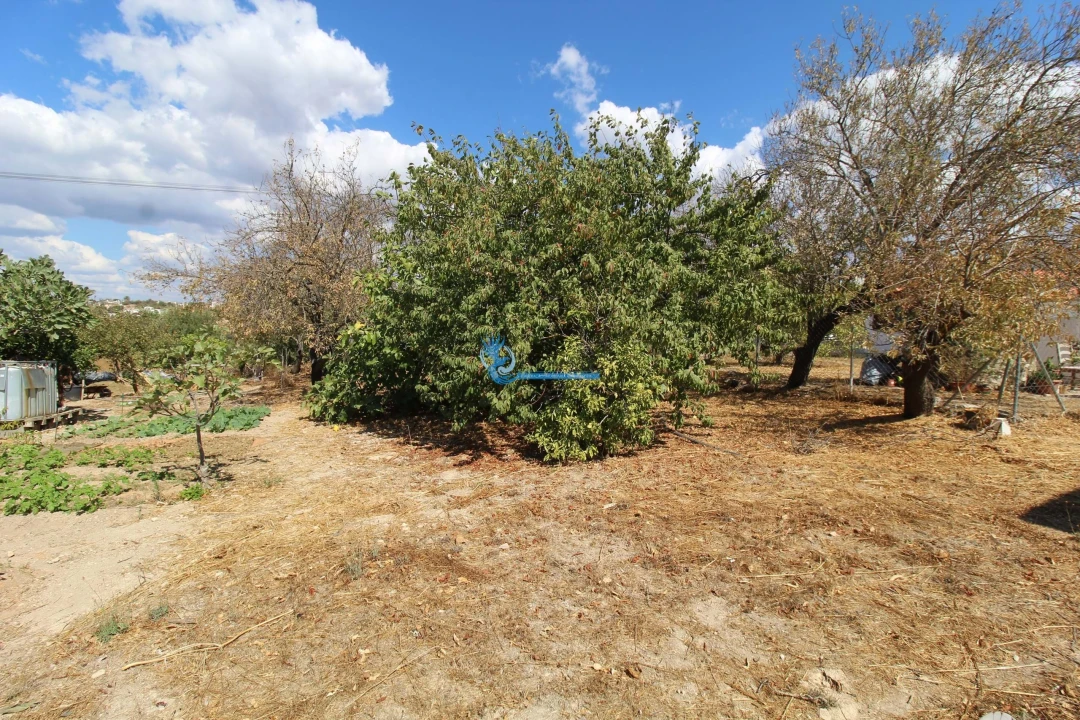 Moradia T1 para Venda em Boliqueime Foto 9