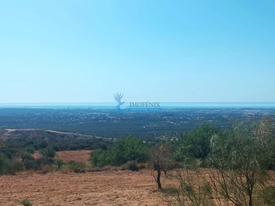 Moradia T1 para Venda em Boliqueime Foto 14