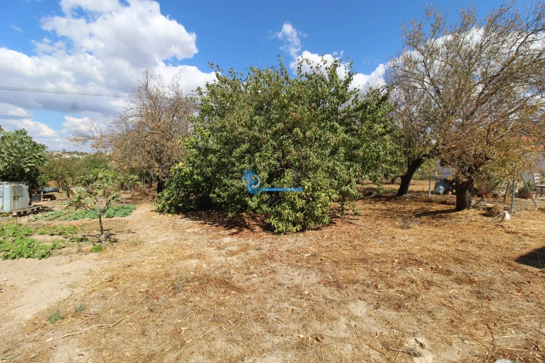 Terreno para Venda em Boliqueime Foto 9