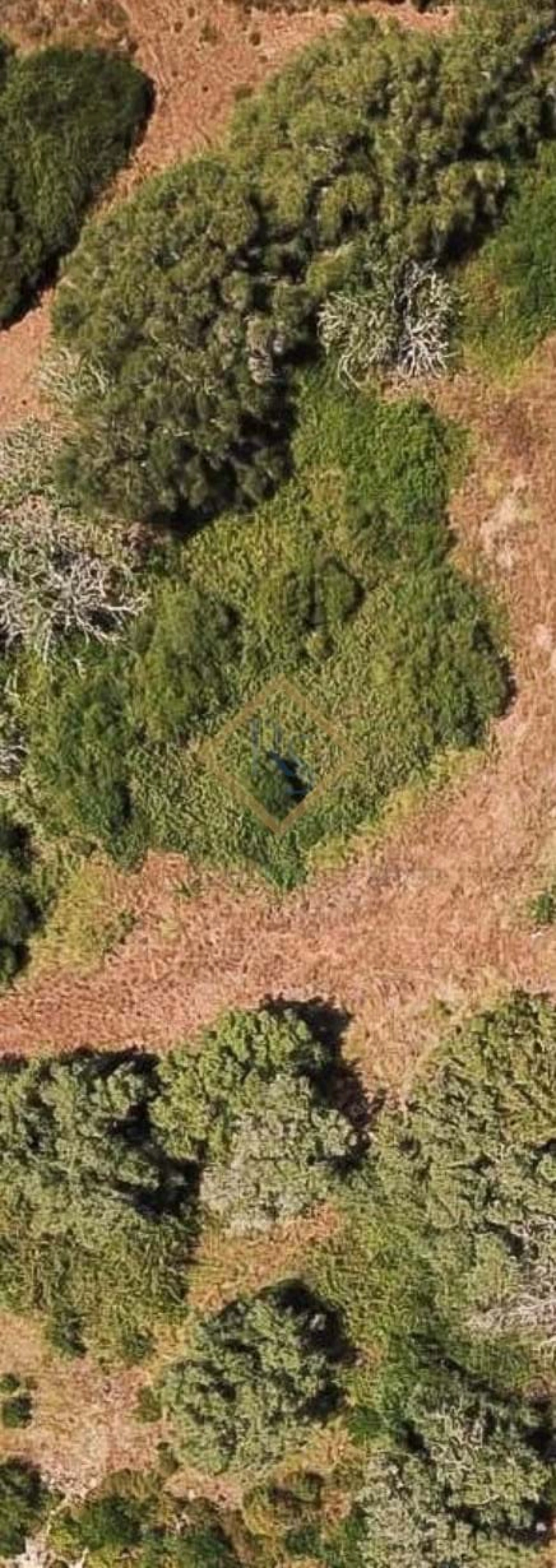 Terreno para Venda em Sesimbra (Castelo) Foto 4