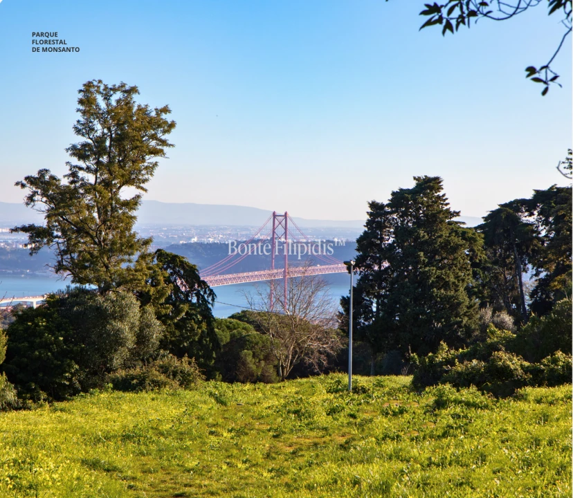 Apartamento T3 para Venda em Estrela Foto 8