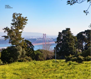 Apartamento T3 para Venda em Estrela