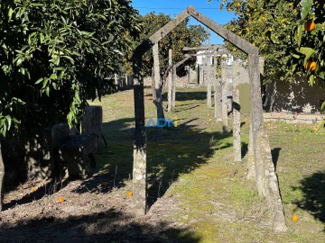 Terreno para Venda em Alcains