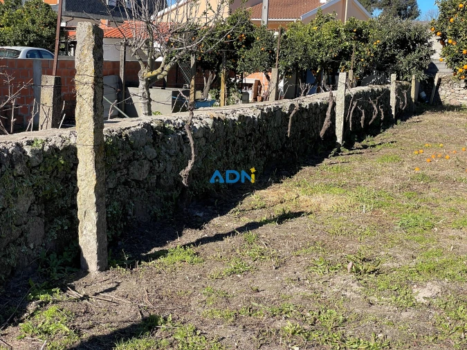Terreno para Venda em Alcains Foto 2