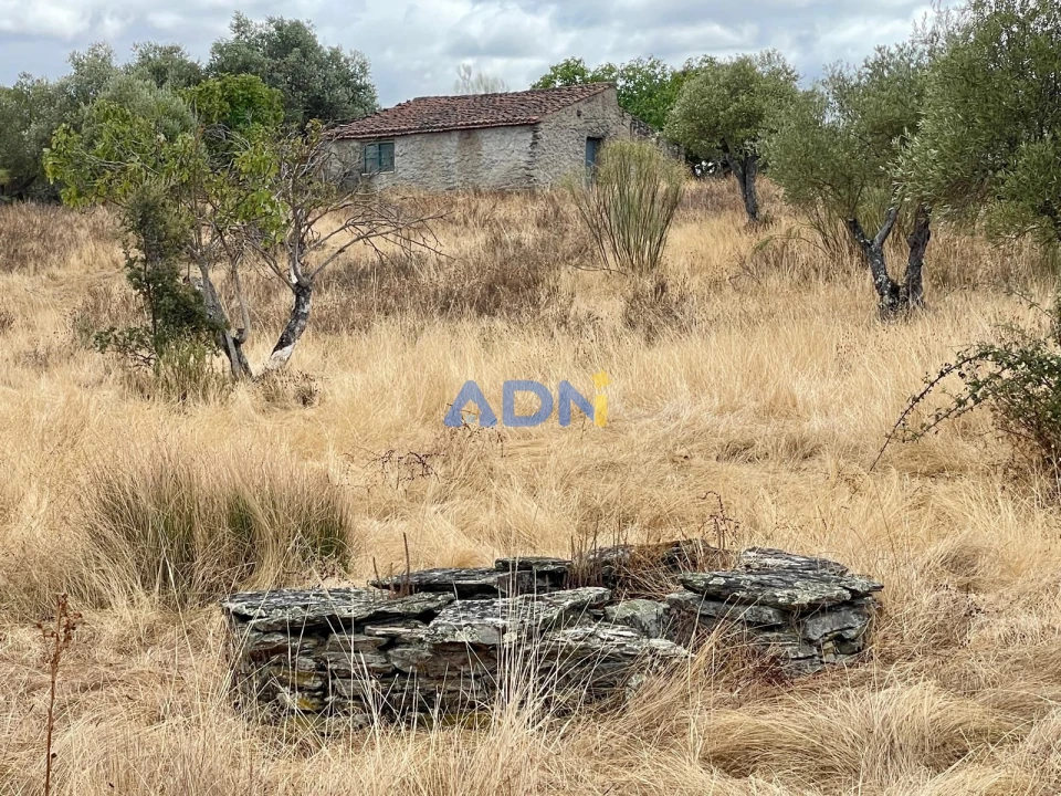 Terreno para Venda em Rosmaninhal Foto 8