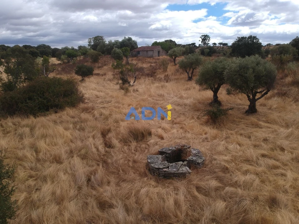 Terreno para Venda em Rosmaninhal Foto 7