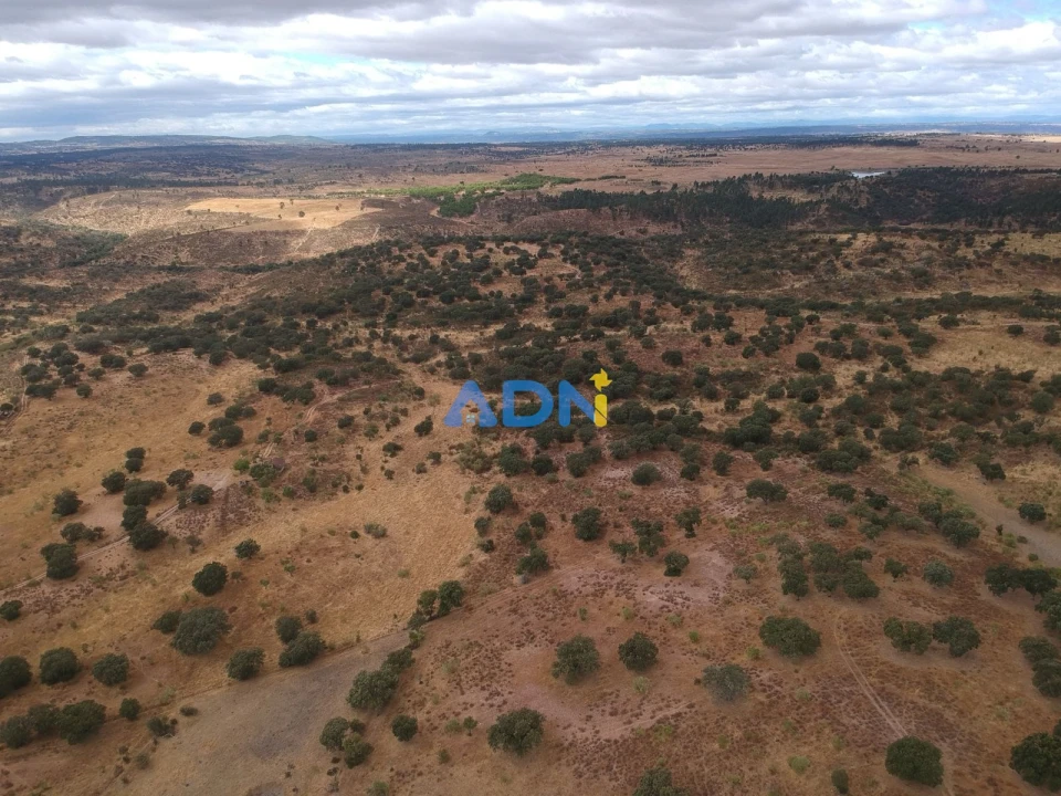 Terreno para Venda em Rosmaninhal Foto 14