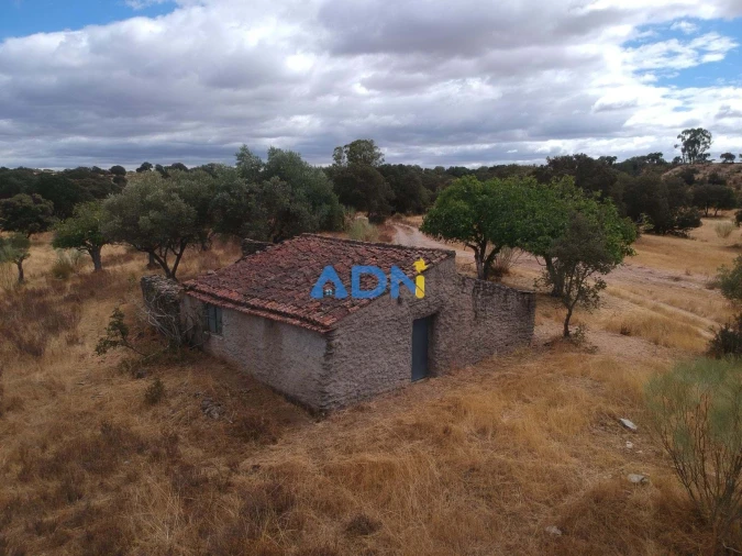 Terreno para Venda em Rosmaninhal