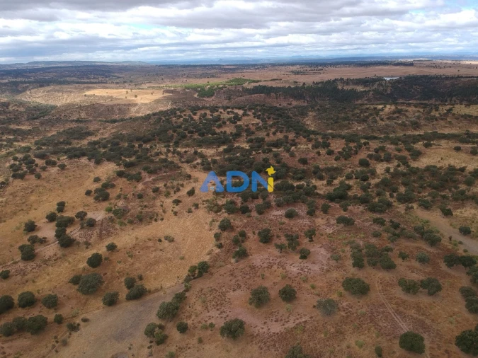 Terreno para Venda em Rosmaninhal Foto 14