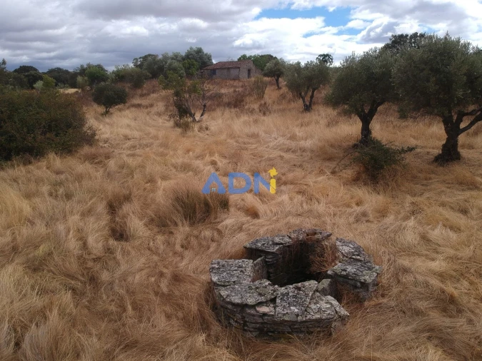 Terreno para Venda em Rosmaninhal Foto 2