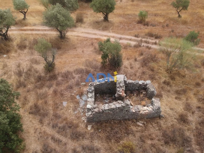 Terreno para Venda em Rosmaninhal Foto 6