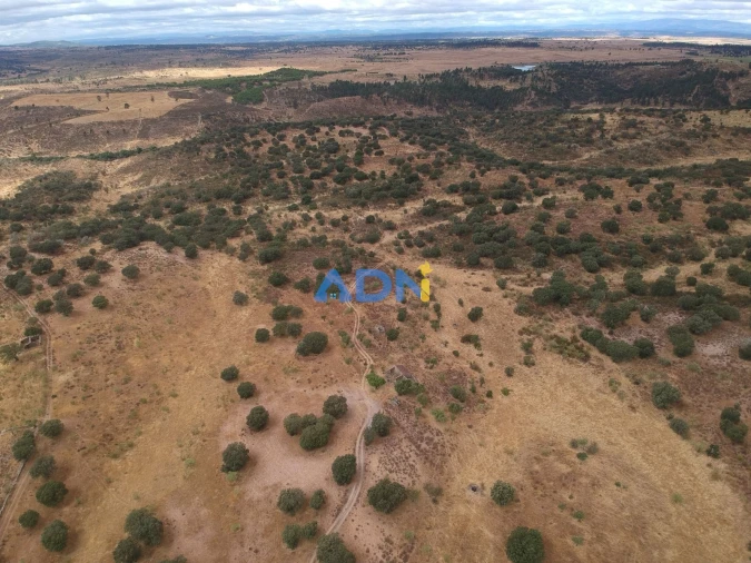 Terreno para Venda em Rosmaninhal Foto 13