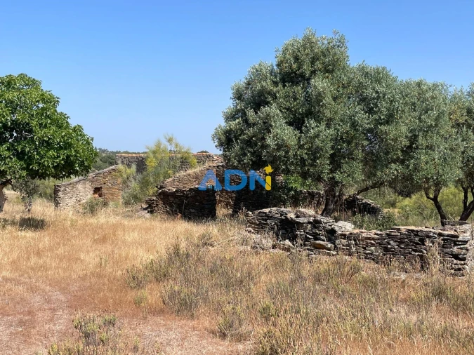 Terreno para Venda em Rosmaninhal Foto 4