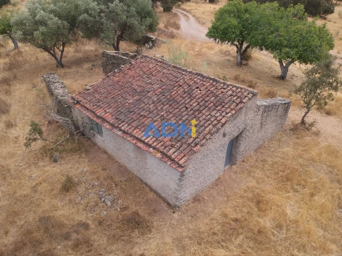 Terreno para Venda em Rosmaninhal Foto 3