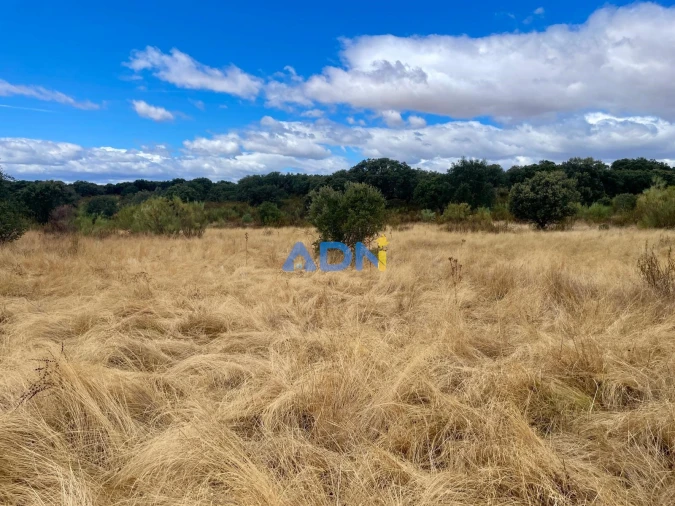 Terreno para Venda em Rosmaninhal Foto 10