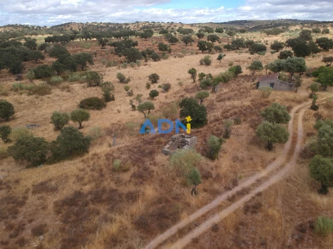 Terreno para Venda em Rosmaninhal Foto 5