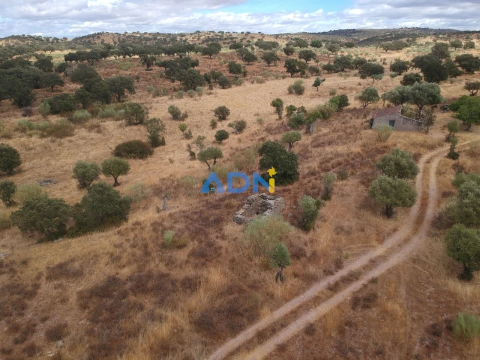 Terreno para Venda em Rosmaninhal Foto 5