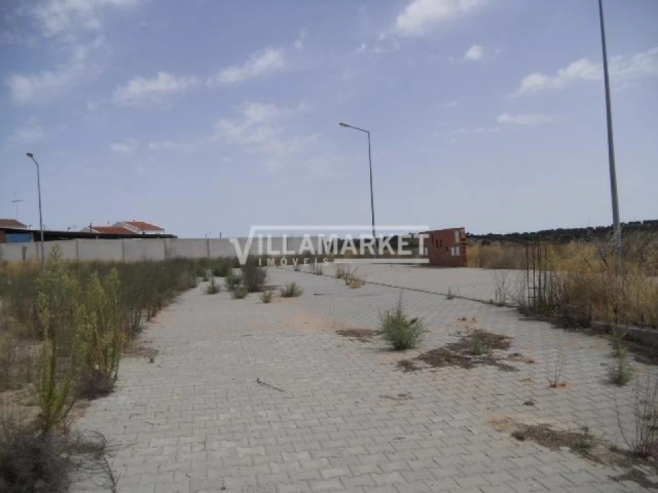 Terreno para Venda em Alvito Foto 4