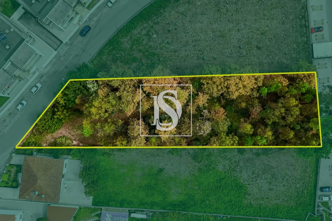 Terreno para Venda em Tamel (São Verissimo) Foto 3