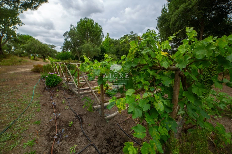 Moradia T5 para Venda em Santo Estêvão Foto 62