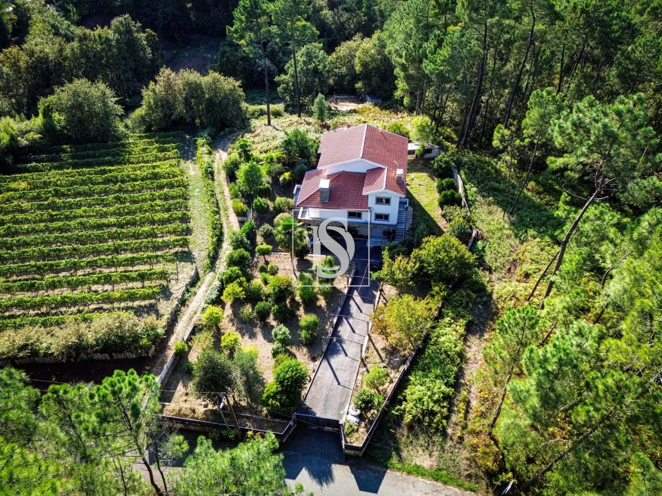 Moradia T5 para Venda em Troporiz e Lapela Foto 4