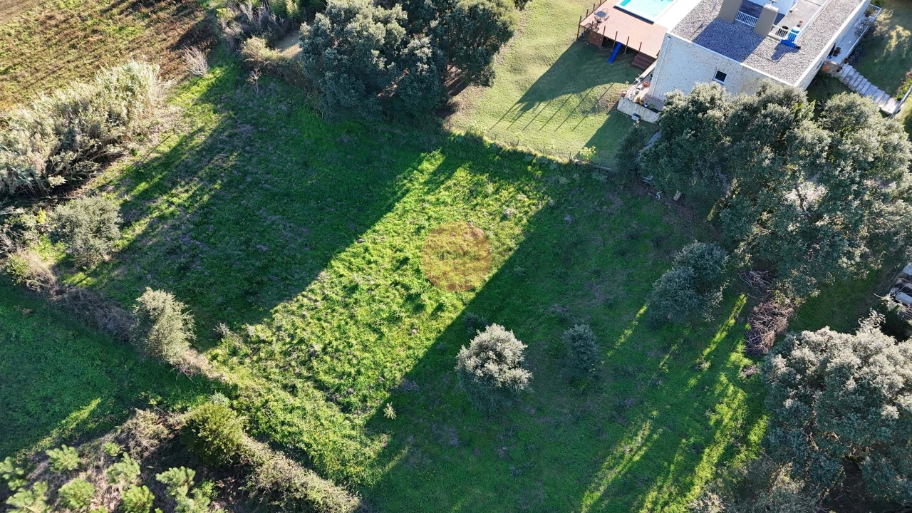 Terreno para Venda em Salir de Matos Foto 35
