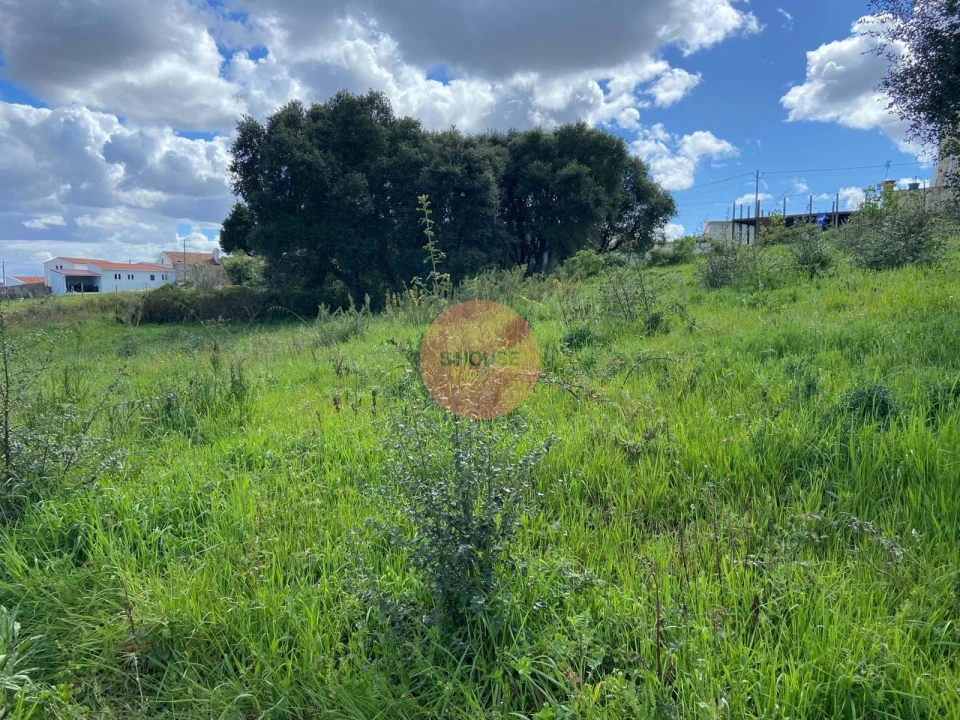 Terreno para Venda em Salir de Matos Foto 19