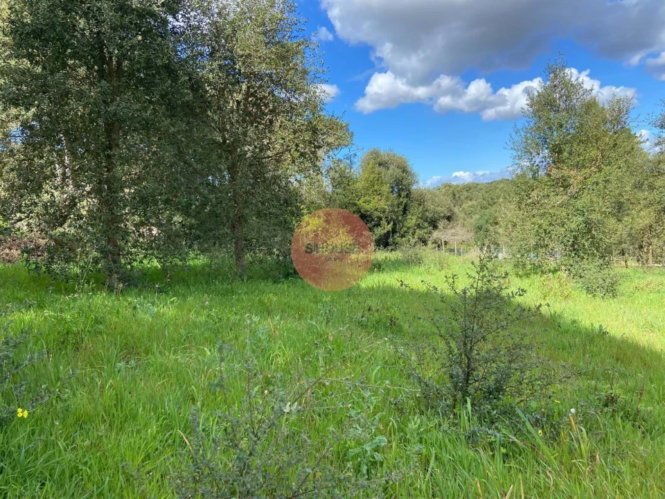 Terreno para Venda em Salir de Matos Foto 21