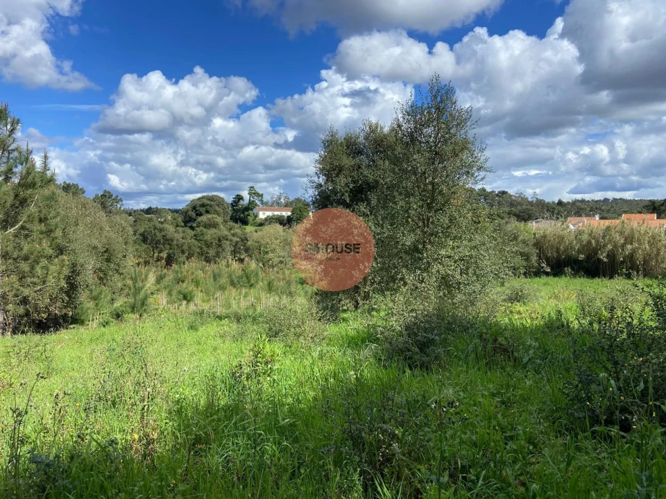 Terreno para Venda em Salir de Matos Foto 24