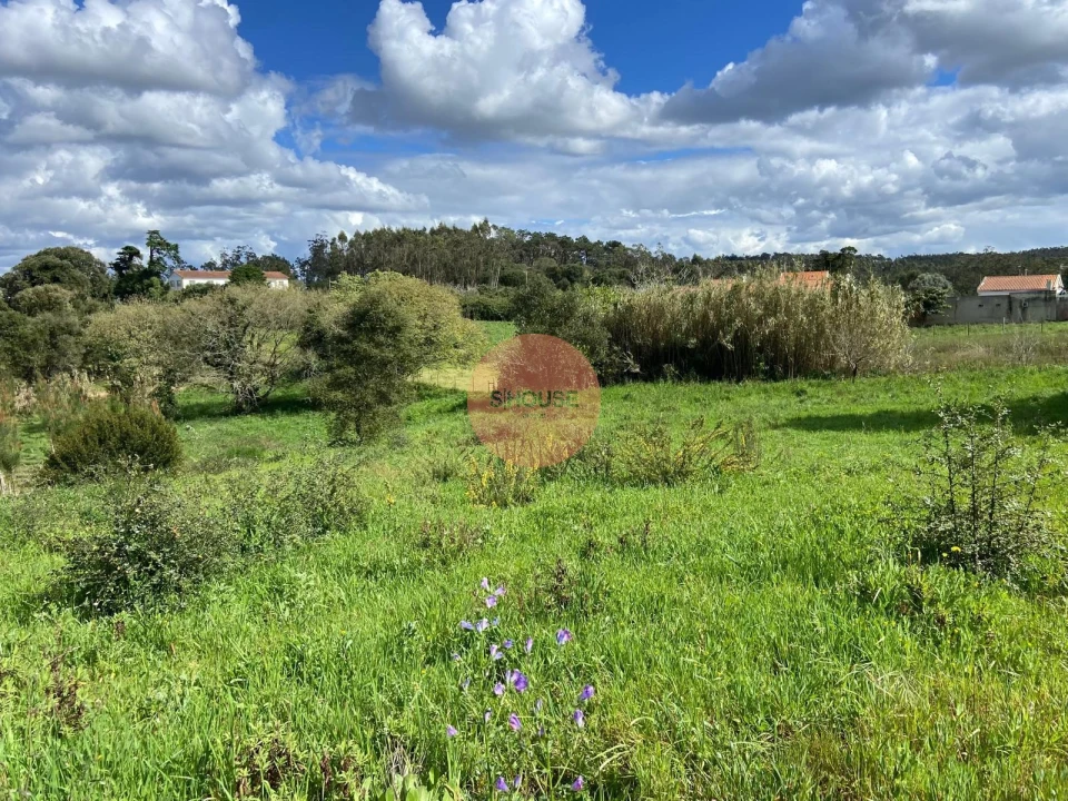 Terreno para Venda em Salir de Matos Foto 11