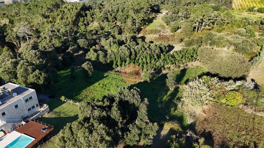 Terreno para Venda em Salir de Matos Foto 32