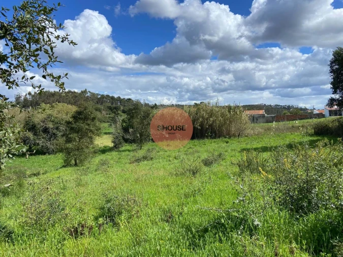 Terreno para Venda em Salir de Matos Foto 22