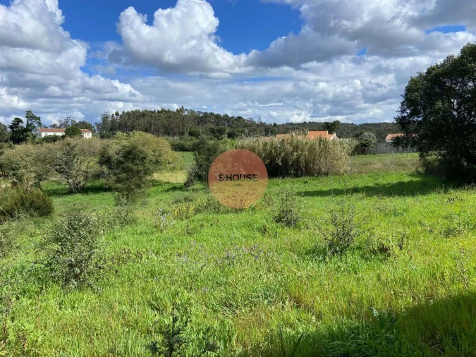 Terreno para Venda em Salir de Matos Foto 23