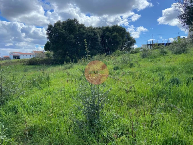 Terreno para Venda em Salir de Matos Foto 19