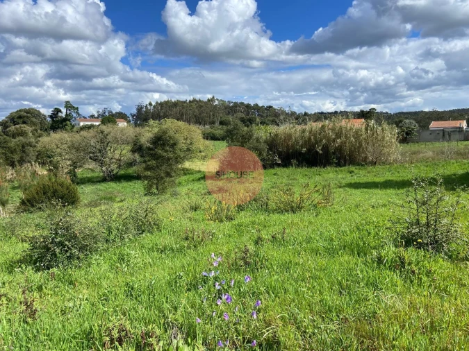 Terreno para Venda em Salir de Matos Foto 11