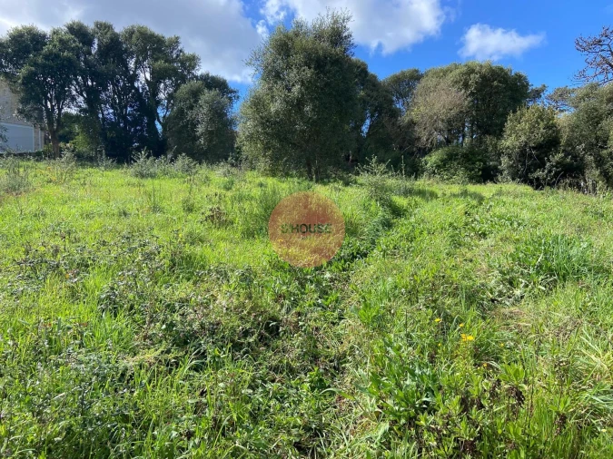 Terreno para Venda em Salir de Matos Foto 26