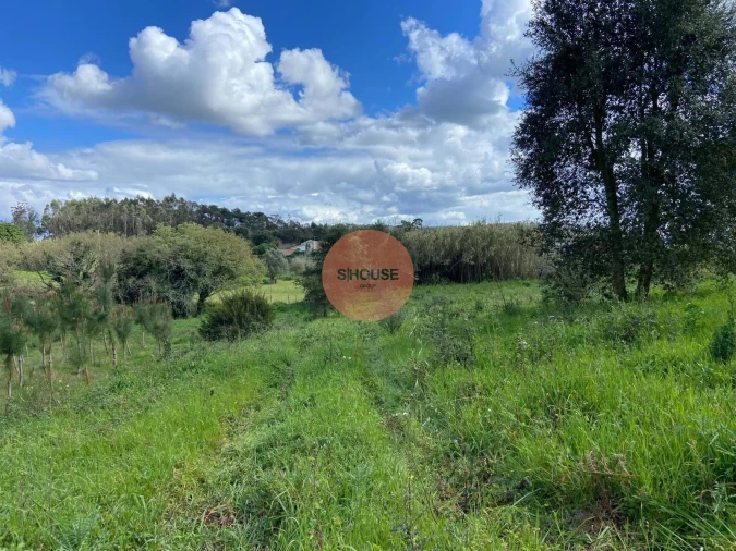 Terreno para Venda em Salir de Matos Foto 17