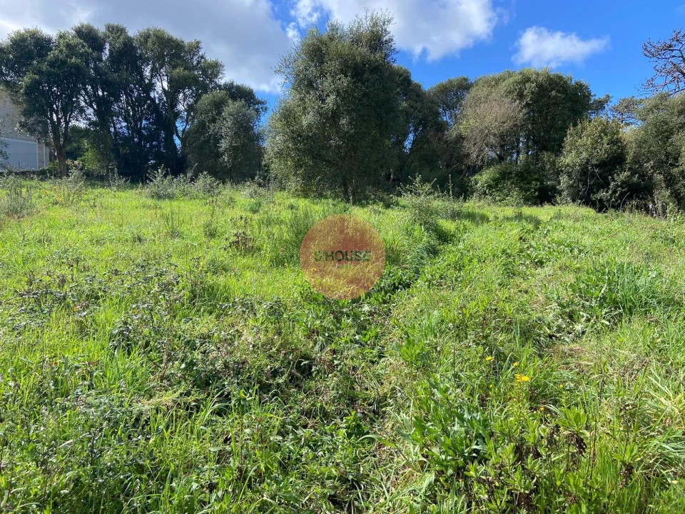 Terreno para Venda em Salir de Matos Foto 26