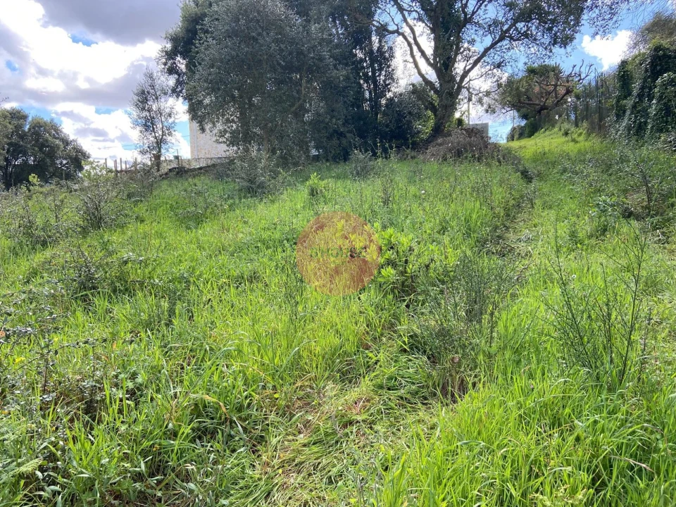 Terreno para Venda em Salir de Matos Foto 16