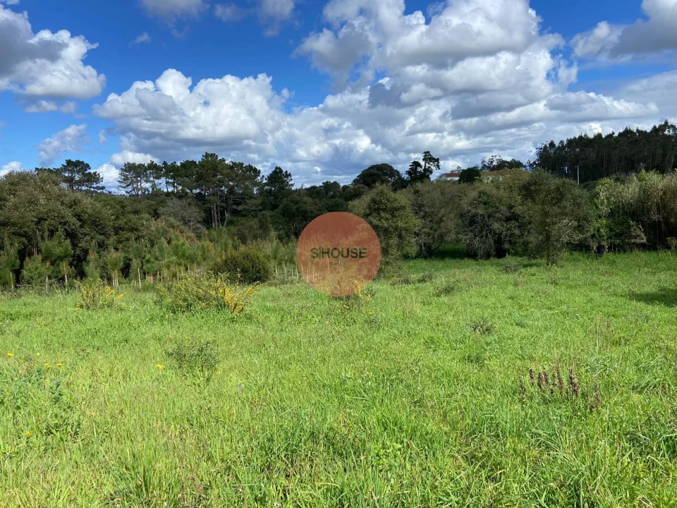 Terreno para Venda em Salir de Matos Foto 5