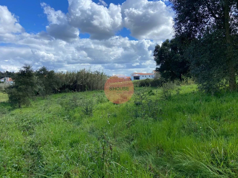 Terreno para Venda em Salir de Matos Foto 18
