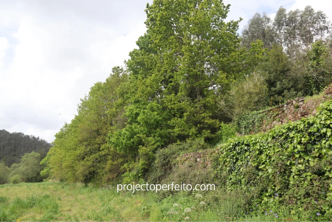 Quinta T10 para Venda em São Pedro de Castelões Foto 8