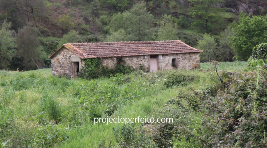 Quinta T10 para Venda em São Pedro de Castelões Foto 7