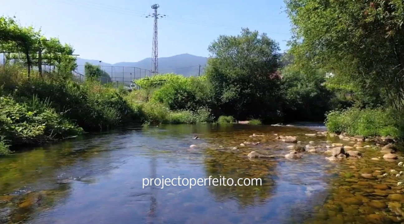 Quinta T10 para Venda em São Pedro de Castelões Foto 3
