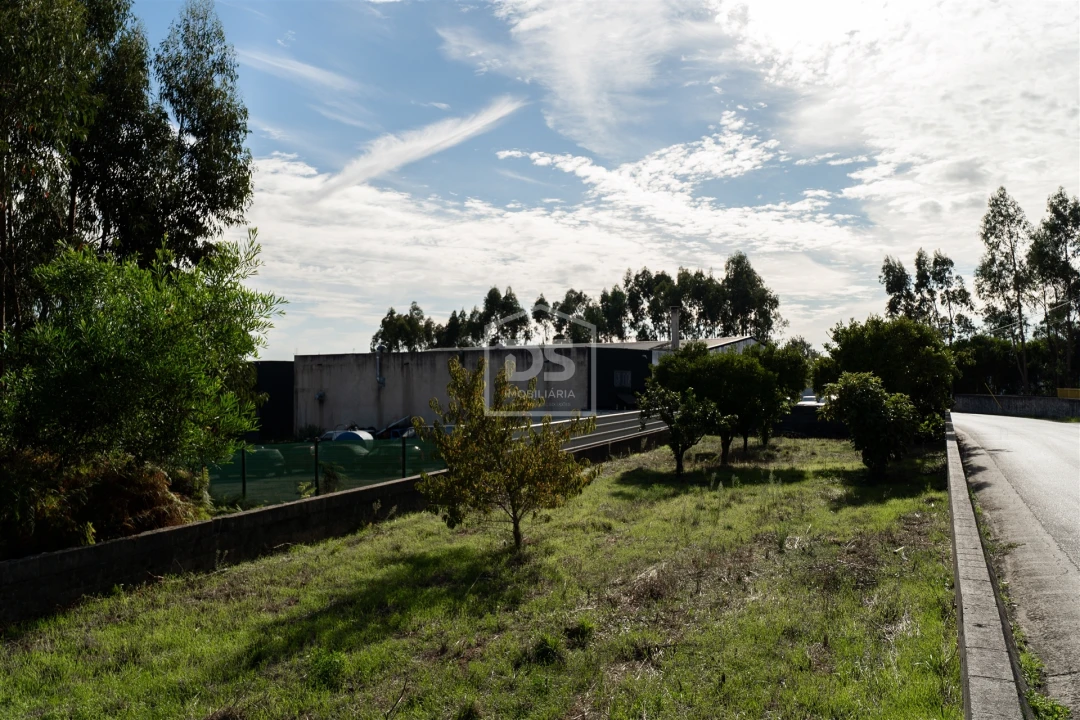Armazém para Venda em Santa Eufémia e Boa Vista Foto 47