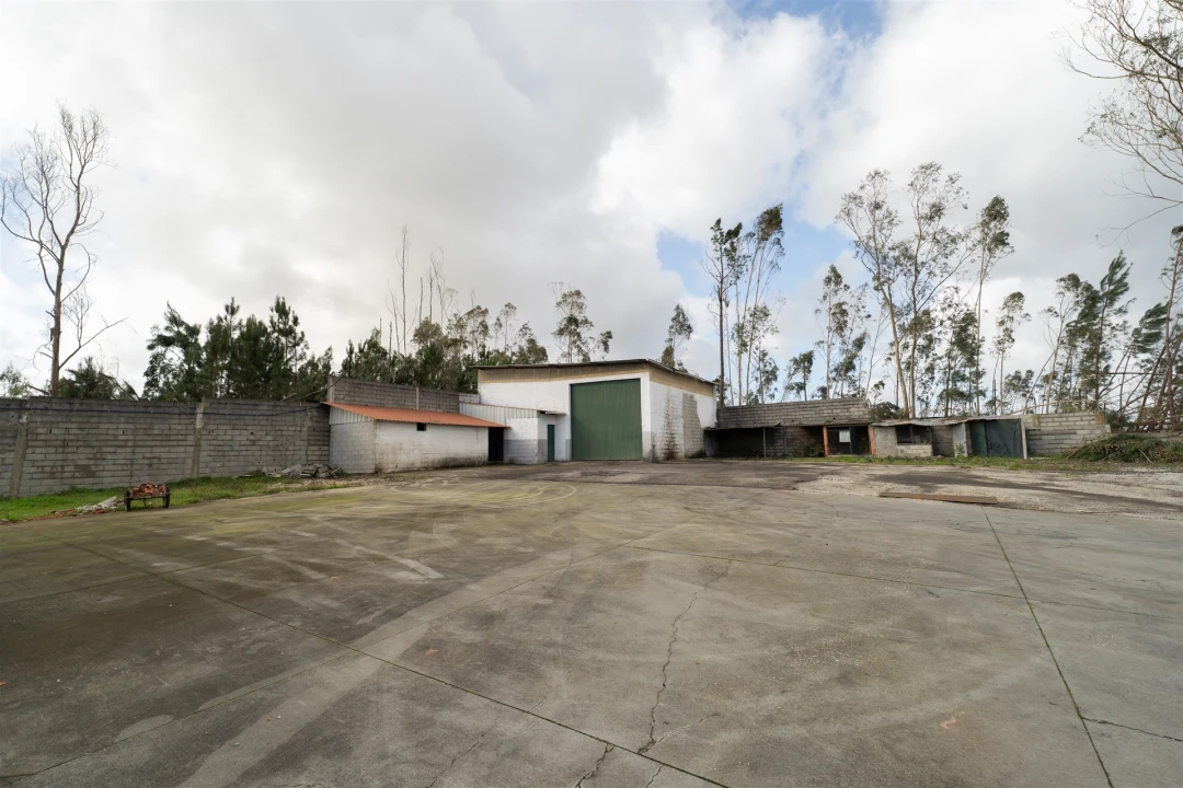 Armazém para Venda em Santa Eufémia e Boa Vista Foto 1