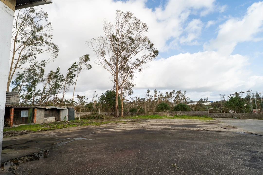 Armazém para Venda em Santa Eufémia e Boa Vista Foto 60